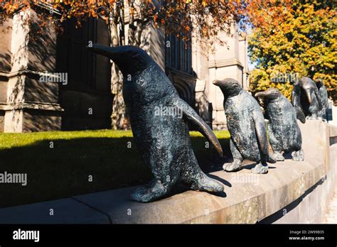 A vibrant, outdoor scene featuring Dundee penguins sculptures Stock ...