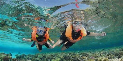 Technical Diving in Sharm El Sheikh - Camel Dive Club & Hotel