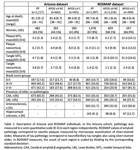 Neuropathological Evidence That The Association Between Apoe‐e4