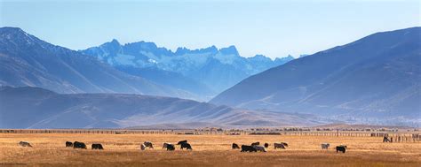 Protecting Bridgeport Valley - Eastern Sierra Land Trust