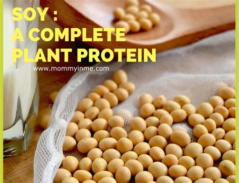 Soybean protein - Parenting & Lifestyle!