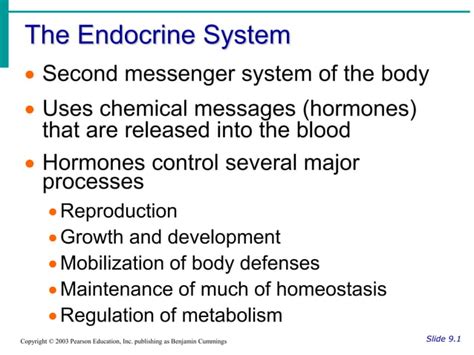 Chapter 9 Endocrine System Endcrine Glands Ppt