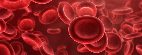 What is Hemophilia - Daily Health Wiz