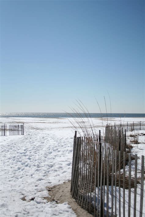 cape may, nj in winter | Family vacation, Beach, Favorite places