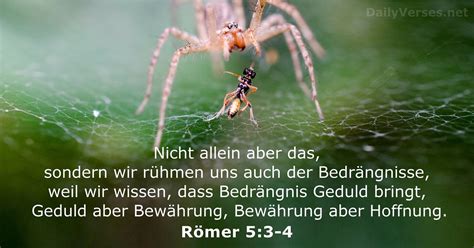 14 April 2022 Bibelvers des Tages Römer 5 3 4 DailyVerses net