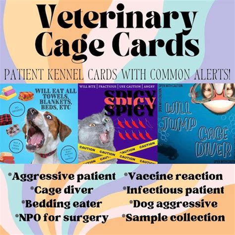 Veterinary Cage Cards Etsy