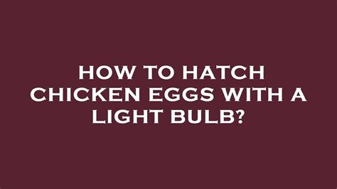 How To Hatch Chicken Eggs With A Light Bulb Youtube