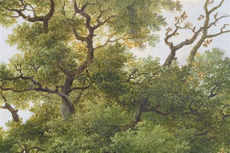 Marinus Adrianus Koekkoek I Paintings Prev For Sale A Forest