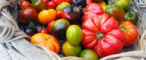 Tomato: Useful Information and Curiosities | Fratelli Carli
