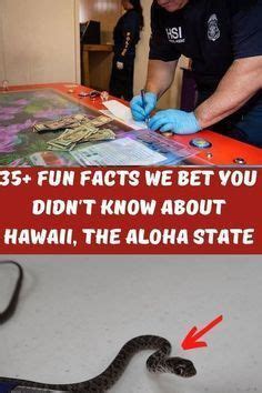10 Shocking Facts About Anonib Hawaii You Won't Believe! - n5d0ugz