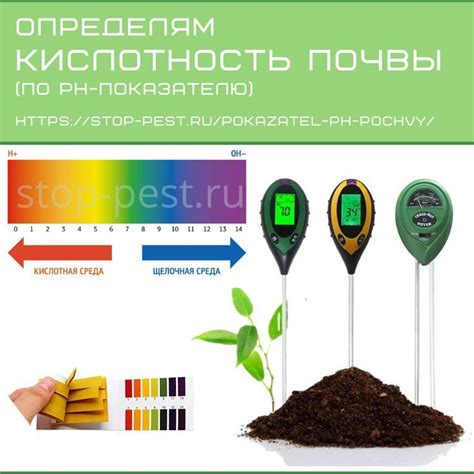 Определение кислотности почвы по показателю pH