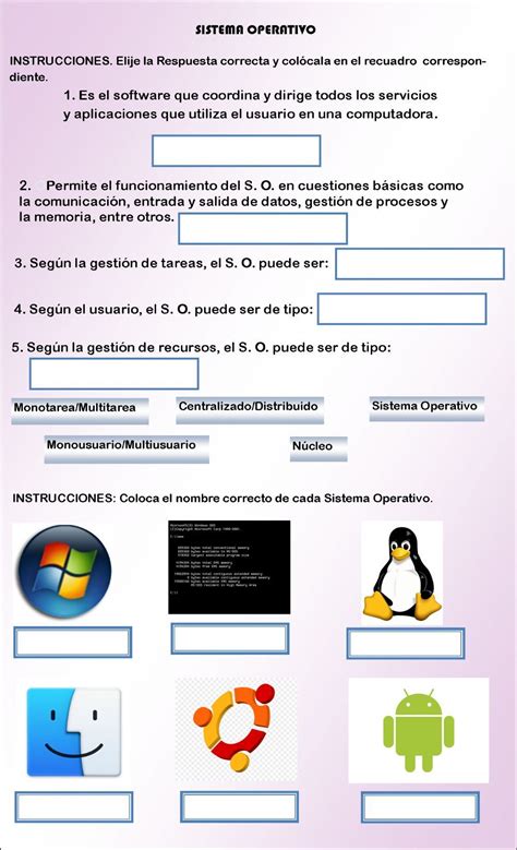 Sistema Operativo Exercise School Activities Online Activities