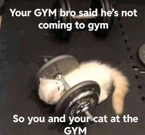 GYM bro : r/GymMemes