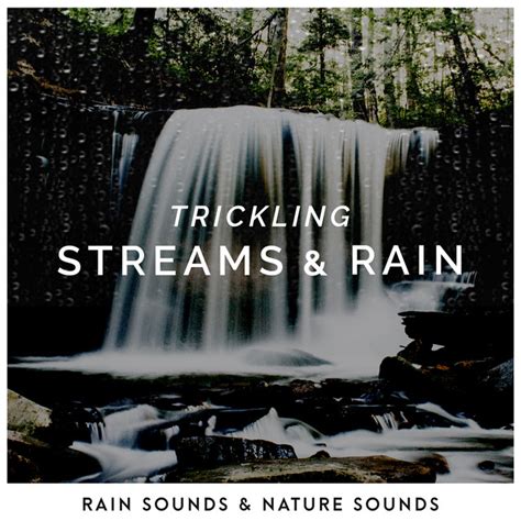 Trickling Streams And Rain Album By Rain Sounds And Nature Sounds Spotify