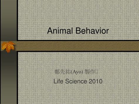 Ppt Animal Behavior Powerpoint Presentation Free Download Id8720775