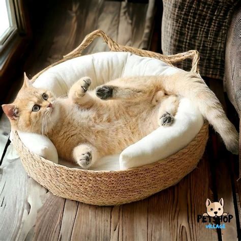 Cute Cat Bed - Etsy