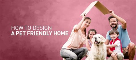 How To Create A Pet-Friendly Home