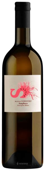 Hannes Sabathi Amphora Sauvignon Blanc Vivino Us