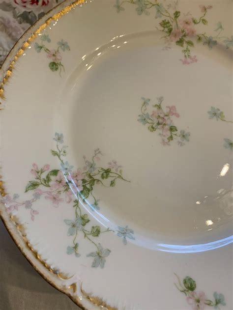 Limoges GDA France Plates Pink And Blue Flowers Etsy Dinnerware