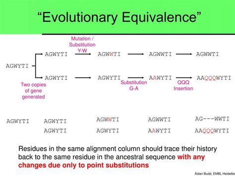 PPT Pairwise Alignments And Sequence Similarity Based Searching