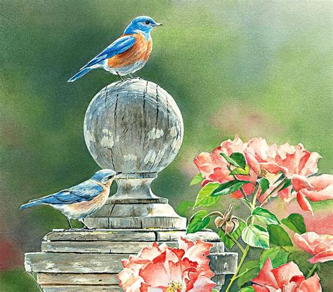 Susan Bourdet Songbirds April Bird Art Art Wallpaper