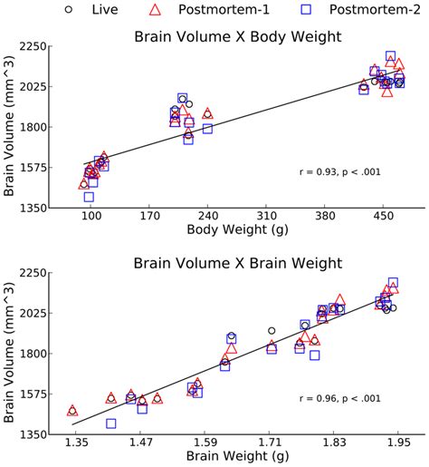 Pearsons Correlation Between Brain Volume Brain Weight And Body