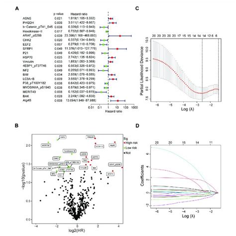 Screening Prognostic Related Proteins In Ec From Tcga Database A