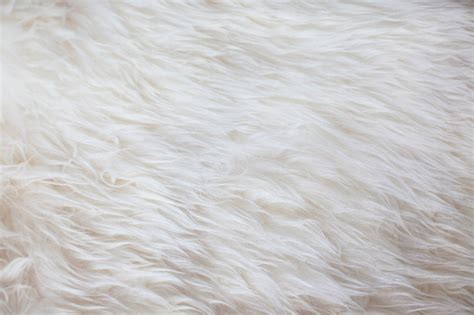 White Fur Texture Background Stock Photo - Download Image Now ...