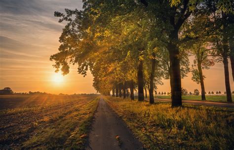 Hintergrundbilder Natur Landschaft Sonne Bäume 2048x1321