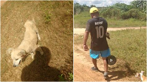 Dono manda matar cachorro surdo a pauladas e revolta moradores no Piauí