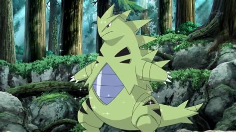 Dirks Tyranitar The Pokémon Wiki