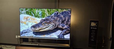 Download Oled 8k Tv Picture