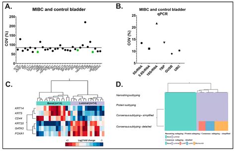 Ijms Free Full Text Improved Bladder Tumor Rna Isolation From