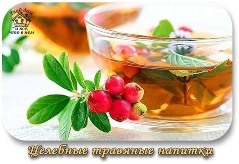 ЦЕЛЕБНЫЕ ТРАВЯНЫЕ НАПИТКИ В Древней Руси напитки из лекарственных трав ...