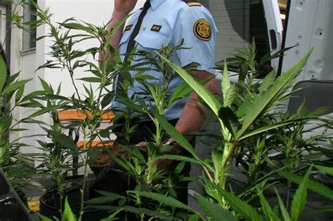 Sex handtekin vegna fíkniefnamáls