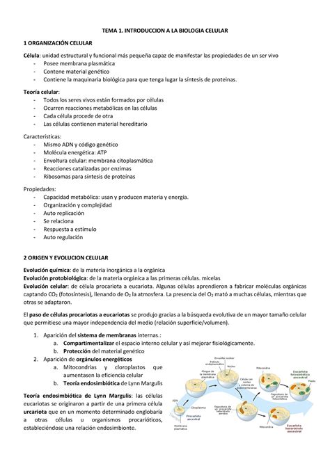 Tema 1 Introduccion A La Biologia TEMA 1 INTRODUCCION A LA