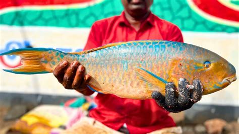 KASIMEDU RARE PARROT FISH CUTTING BY VADIVELU HD VIDEO IN