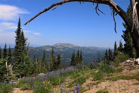 McCall Hiking - Brundage Mountain Resort