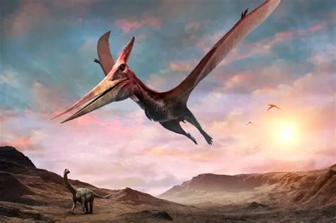 Fossil Of Giant Flying Reptile That Preyed On Dinosaurs Found On Isle