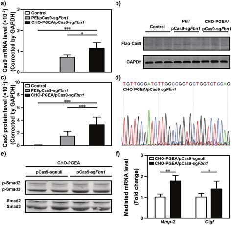 A Real Time Pcr Analysis For Cas9 Mrna Expression In Vsmcs Treated As