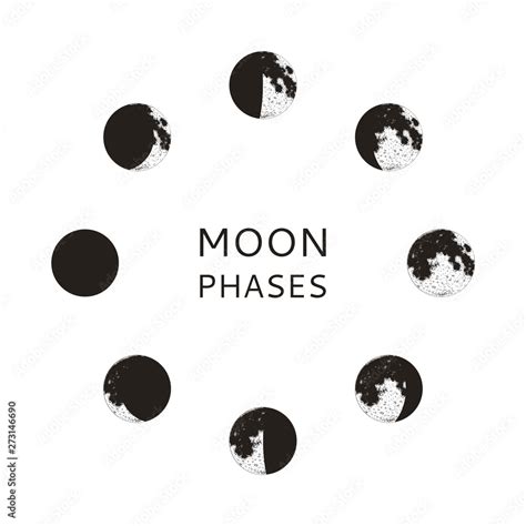 Moon Phases Set Realistic Graphic Symbols Vector Illustration Stock