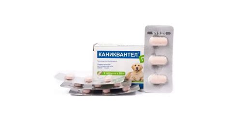 Каниквантел Плюс XL, блистер 3 таб. - купить в интернет-магазине PetDog