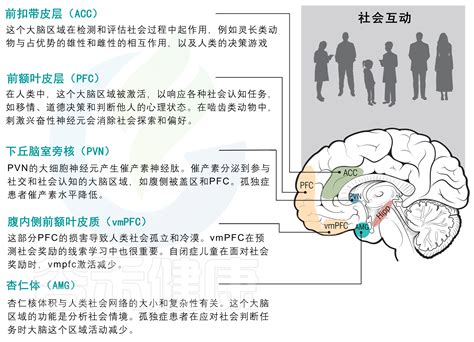 可用于分析微生物与代谢产物之间相互作用的人工神经网络 代谢网络 宿主与病原体的相互作用 Csdn博客