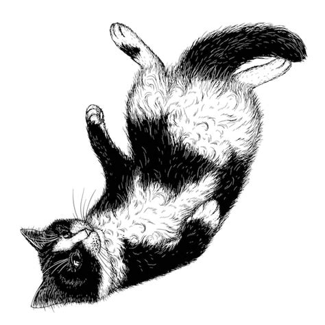 Premium Vector A Black And White Cat In Engraving Style