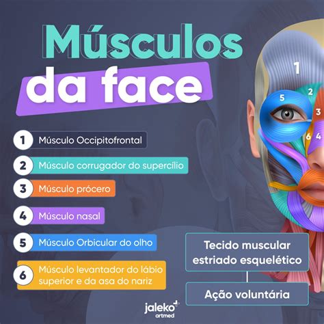 Músculos da face Anatomia I