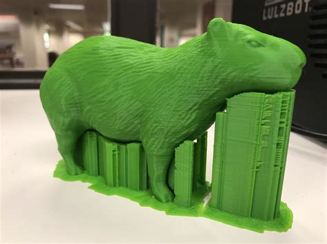 codytaylor_capybara : Free Download, Borrow, and Streaming : Internet