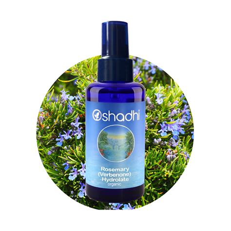 Гидролат Розмарин (вербенон), органический, Rosmarinus officinalis ...