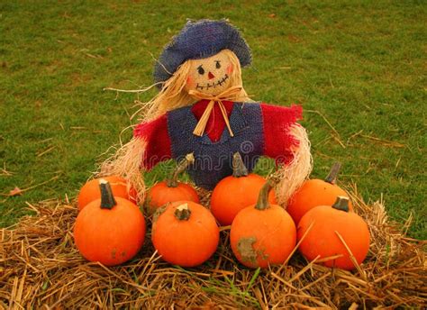 Scarecrow With Pumpkins Stock Image Image Of Thanksgiving 1385171