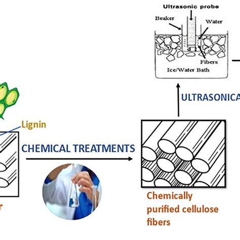 16 Production of cellulose nanofibers (CNF). | Download Scientific Diagram