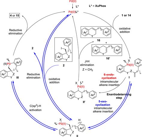 Palladiumxu Phos Catalyzed Enantioselective Cascade Heckremote Csp2